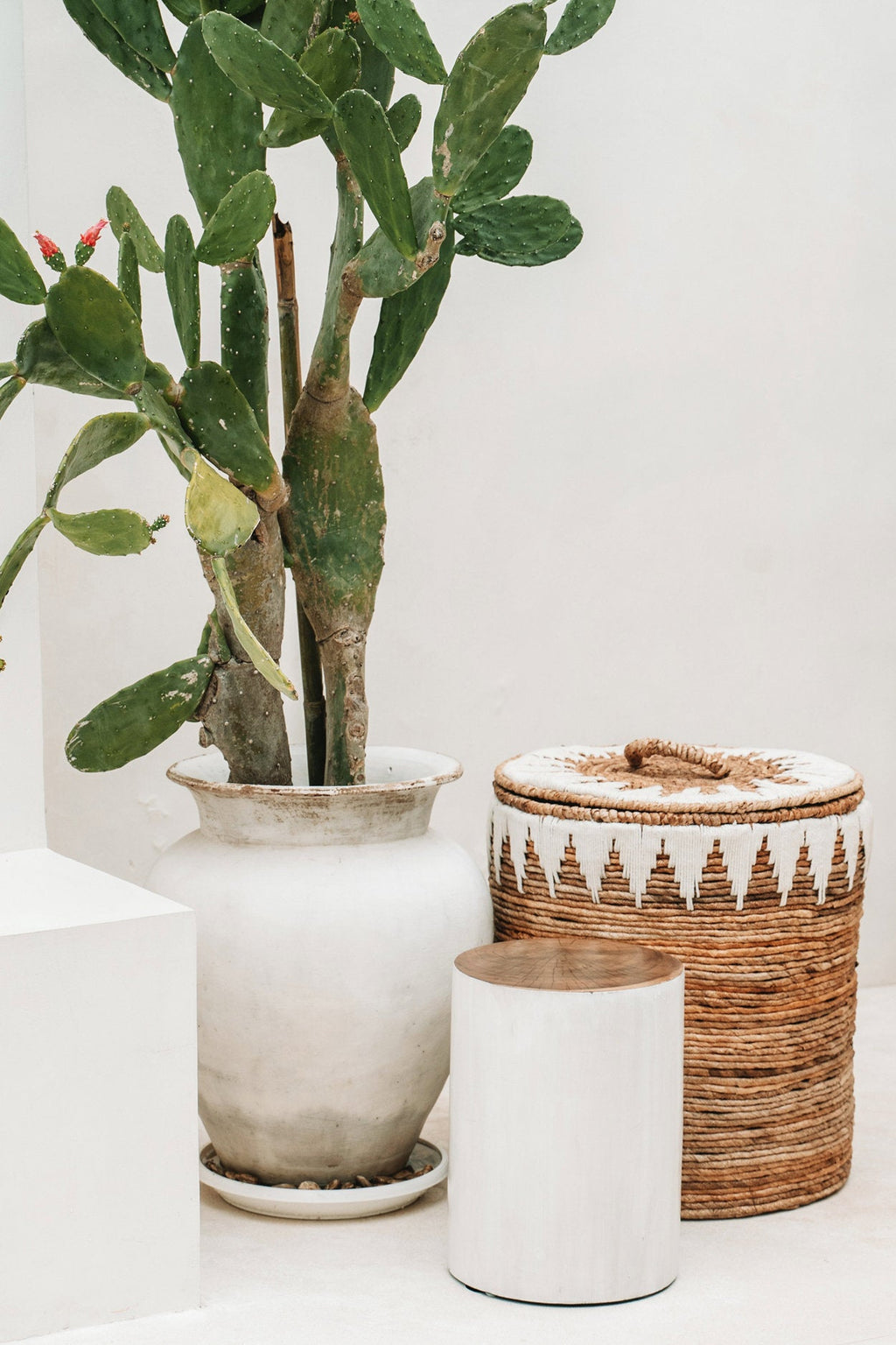 The Tribe Kruk - Natuurlijk Wit — Bazar Bizar, foto 4