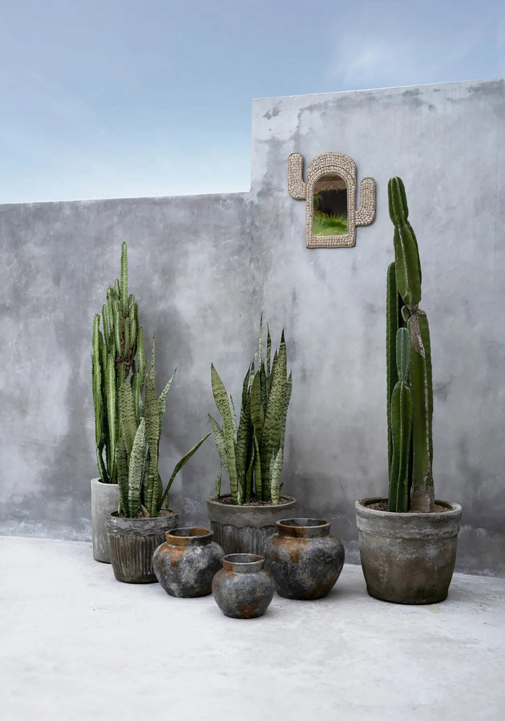 De Cactusschelpspiegel - Wit — Bazar Bizar, foto 3