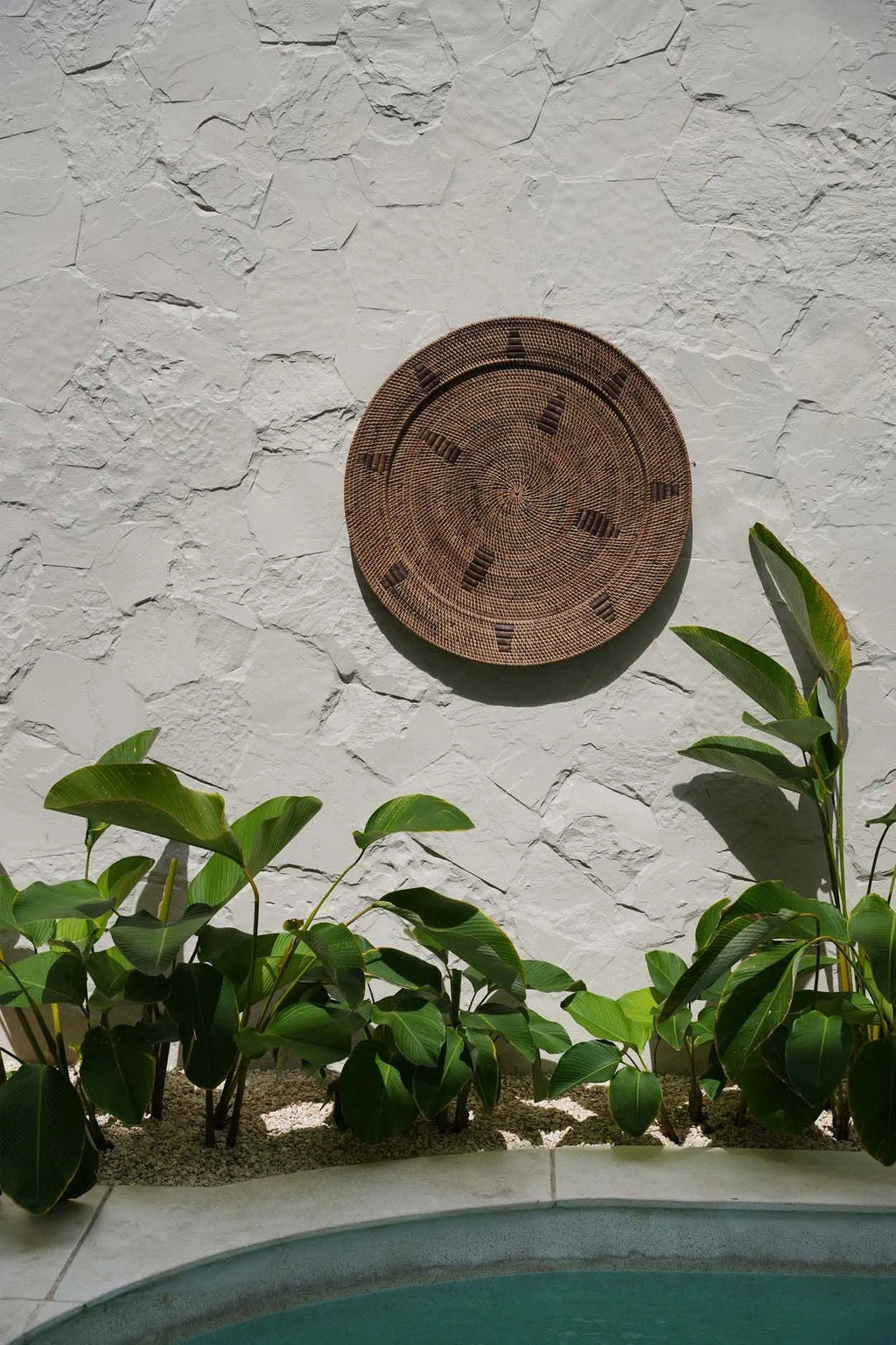 The Jasmine Plate - Bruin - L — Bazar Bizar, foto 2