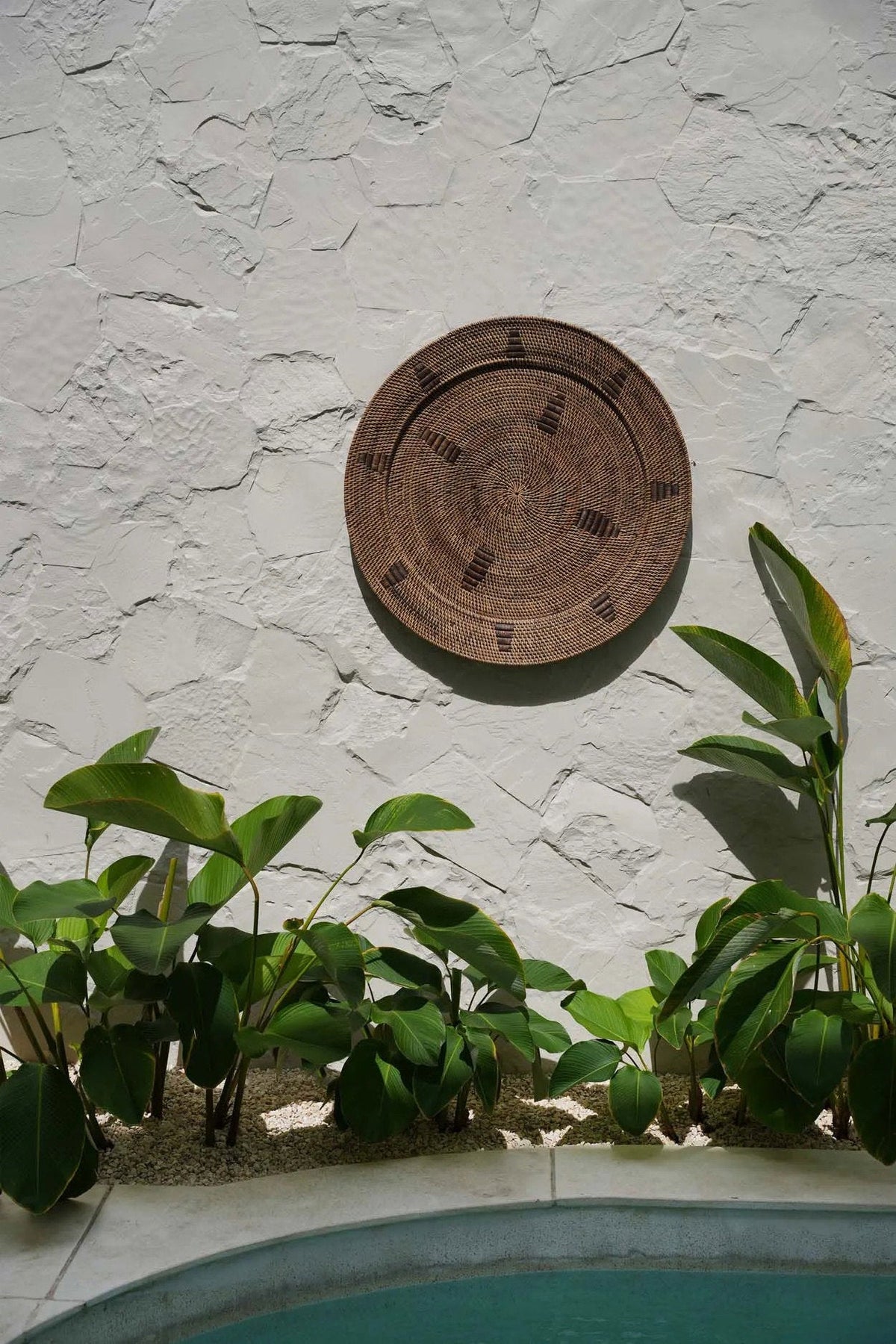 The Jasmine Plate - Bruin - L — Bazar Bizar, foto 2