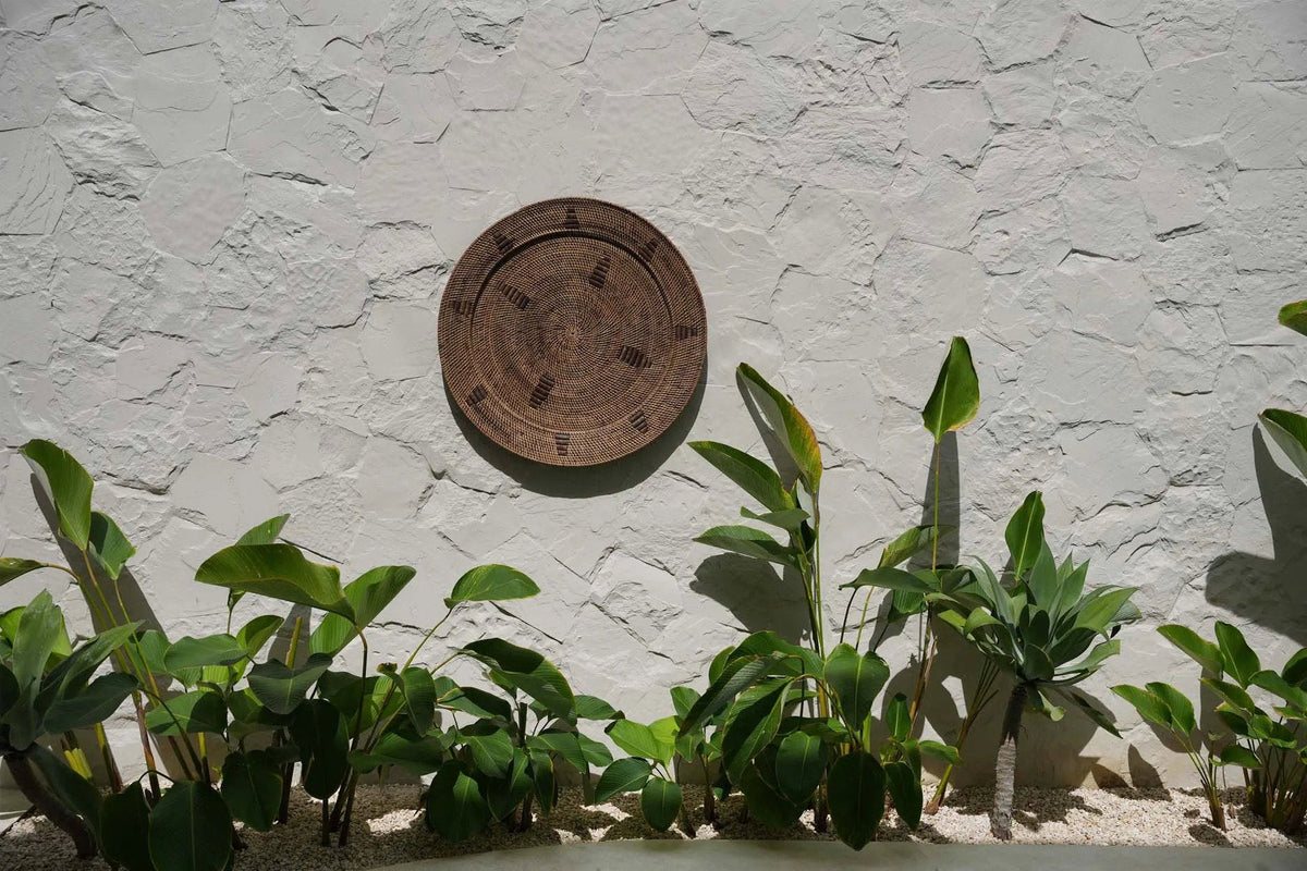 The Jasmine Plate - Bruin - XL — Bazar Bizar, foto 2