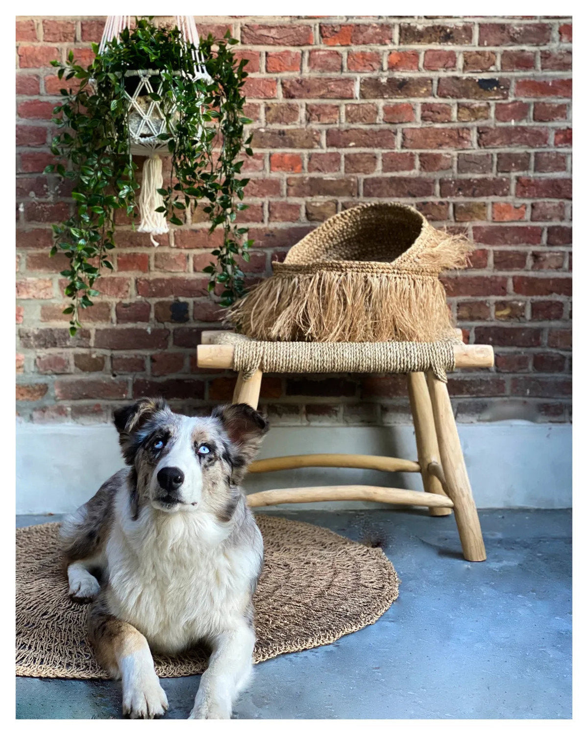 De Macrame Plantenhouder - Wit - L — Bazar Bizar, foto 4