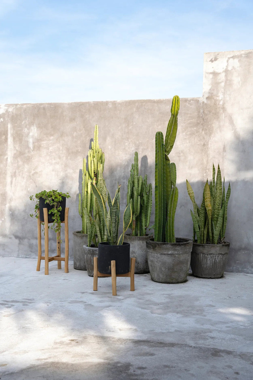The Charcoal Low - Zwart Naturel - S — Bazar Bizar, foto 4