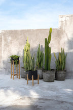 The Charcoal Low - Zwart Naturel - S — Bazar Bizar, foto 4