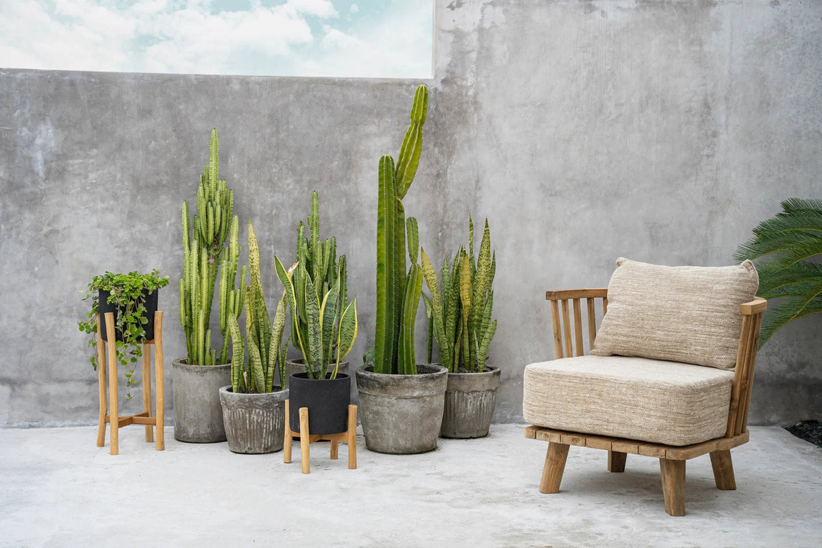 The Charcoal Low - Zwart Naturel - S — Bazar Bizar, foto 6