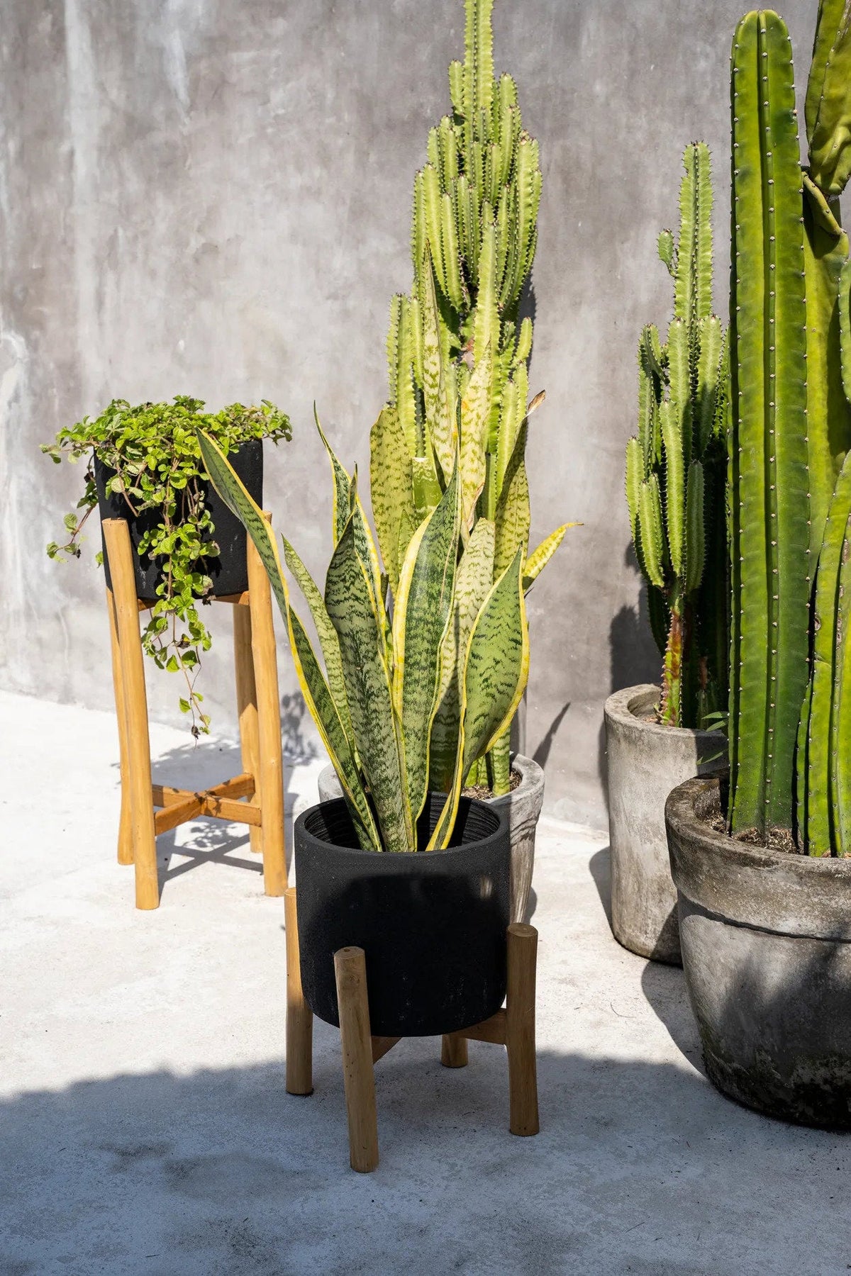 The Charcoal Low - Zwart Naturel - S — Bazar Bizar, foto 5