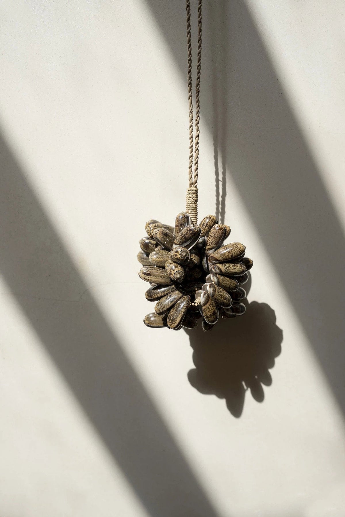 De bruine kauri shell kwast — Bazar Bizar, foto 2