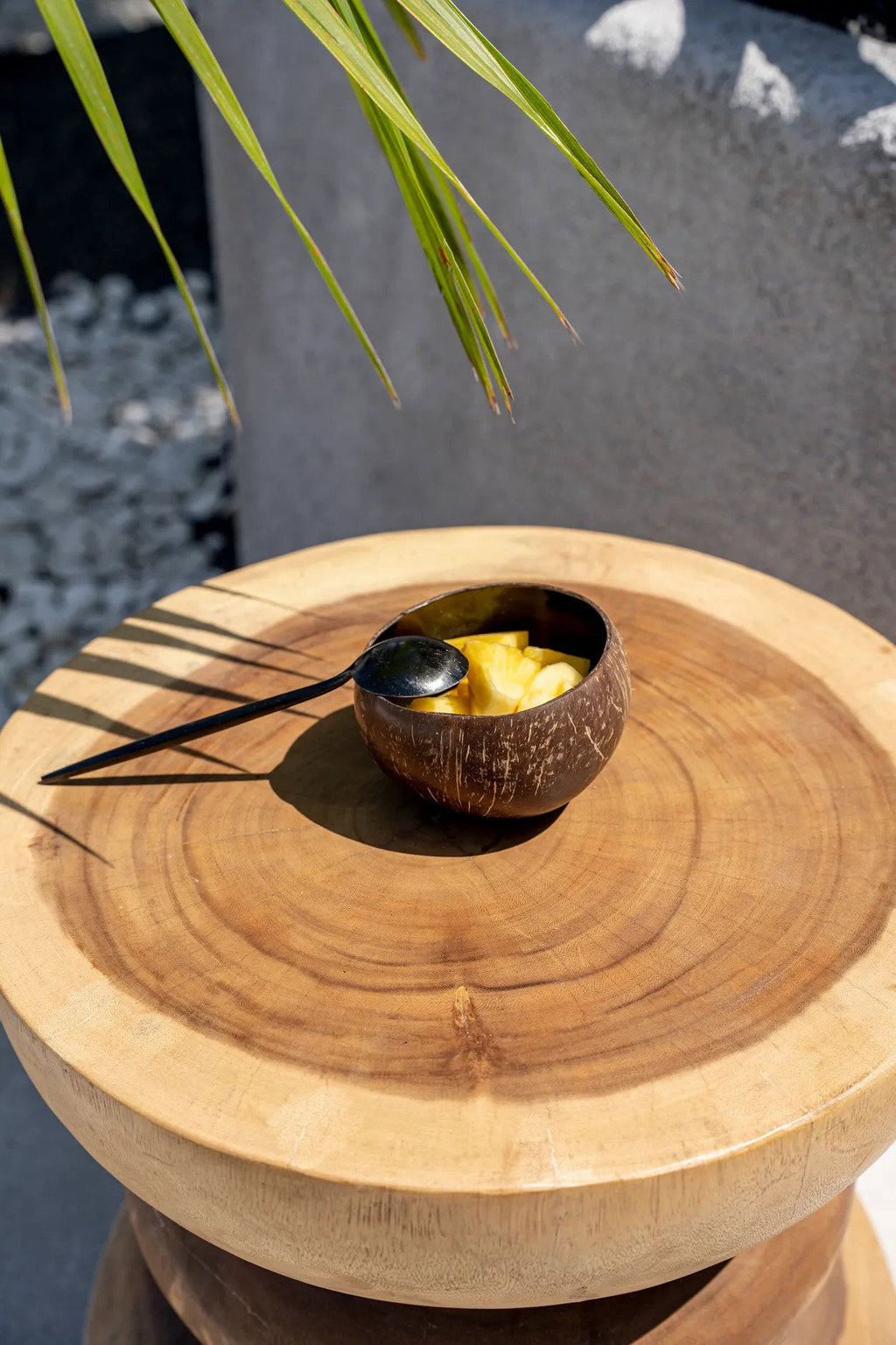 De Coco Voerbak - Naturel Zwart — Bazar Bizar, foto 8