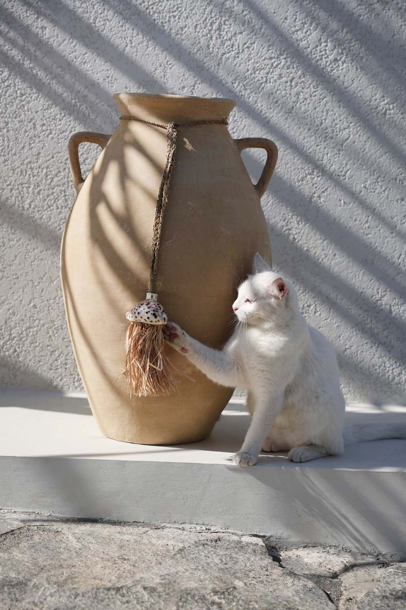 De Raffia Lupina Kwastje - Natuurlijk — Bazar Bizar, foto 2