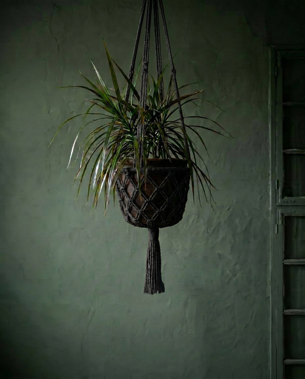 De Macrame Plantenhouder - Zwart - L — Bazar Bizar, foto 7