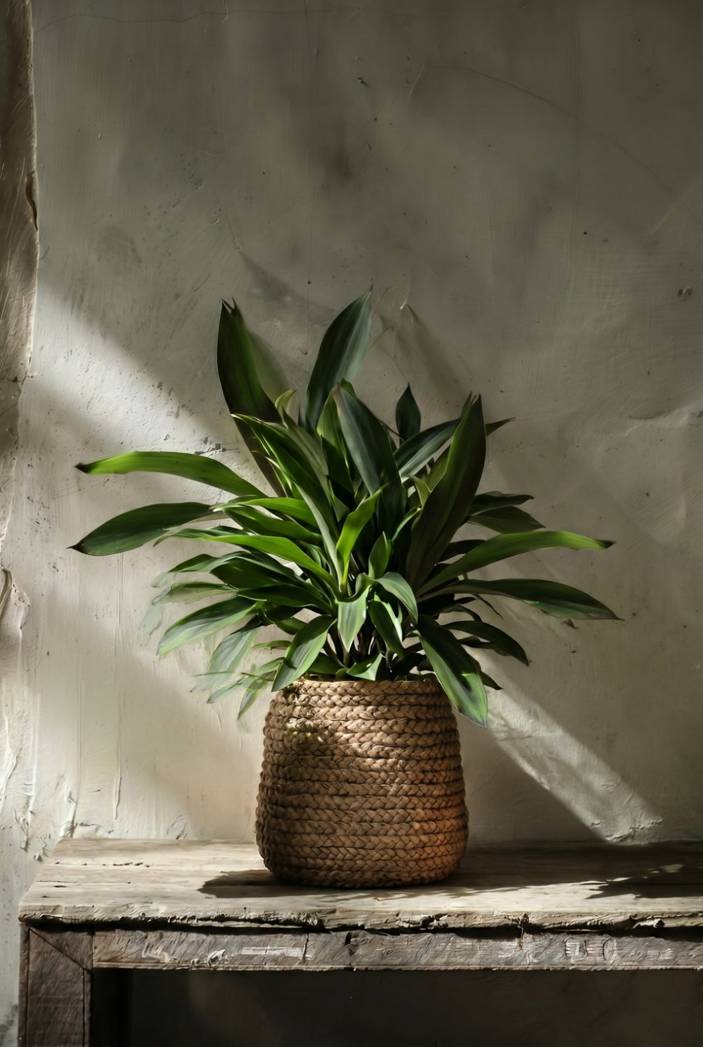 De nep gevlochten plantenbak - naturel - L — Bazar Bizar, foto 2