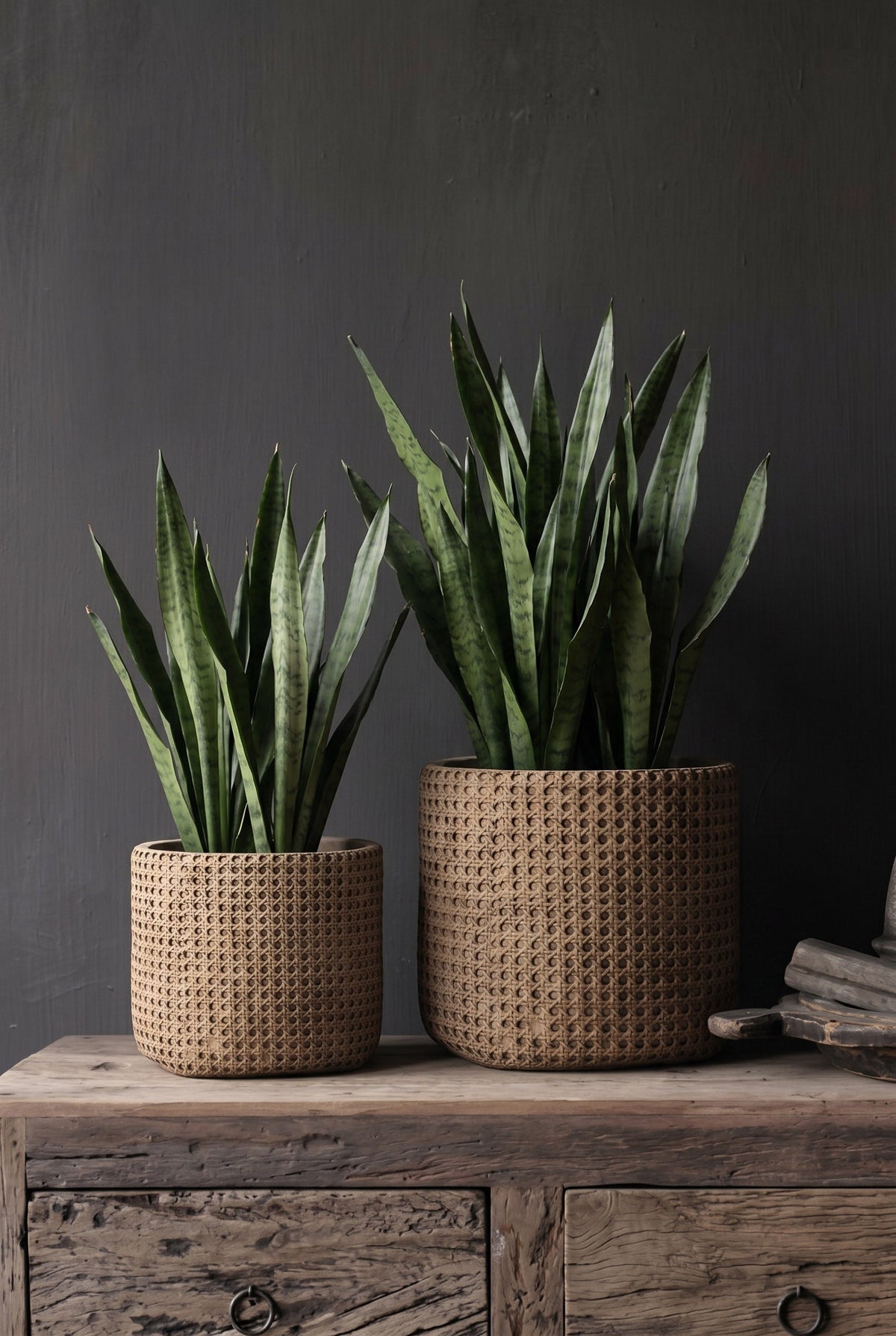 De RattanRock Plantenbak - Naturel - XL — Bazar Bizar, foto 2