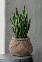 De Faux-Puff Planter - Bruin - L — Bazar Bizar, foto 2