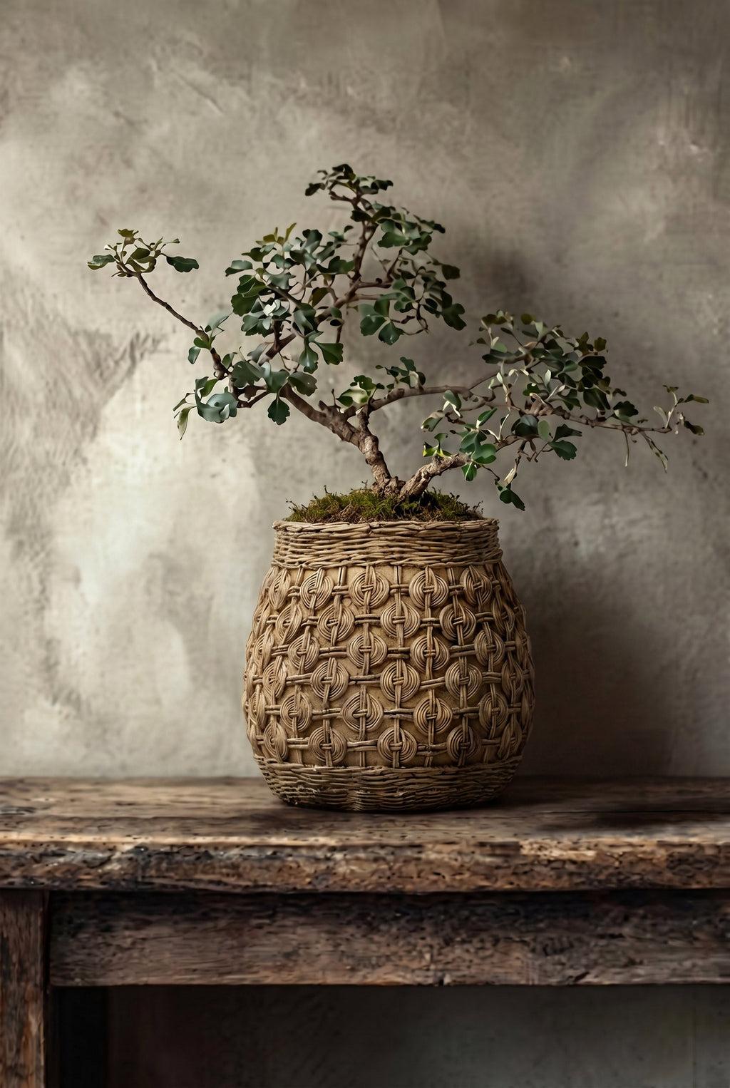 De Knot Betonplantenbak - XL — Bazar Bizar, foto 2