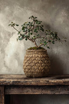 De Knot Betonplantenbak - XL — Bazar Bizar, foto 2