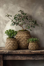 De Knot Betonplantenbak - XL — Bazar Bizar, foto 3