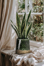 De Moss Conische Plantenbak - Betongroen - L — Bazar Bizar, foto 2