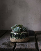 De Moss Bowl Planter - Betongroen - Laag — Bazar Bizar, foto 2