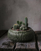De Forest Geribbelde Bowl Planter - Bosgroen - Laag — Bazar Bizar, foto 2