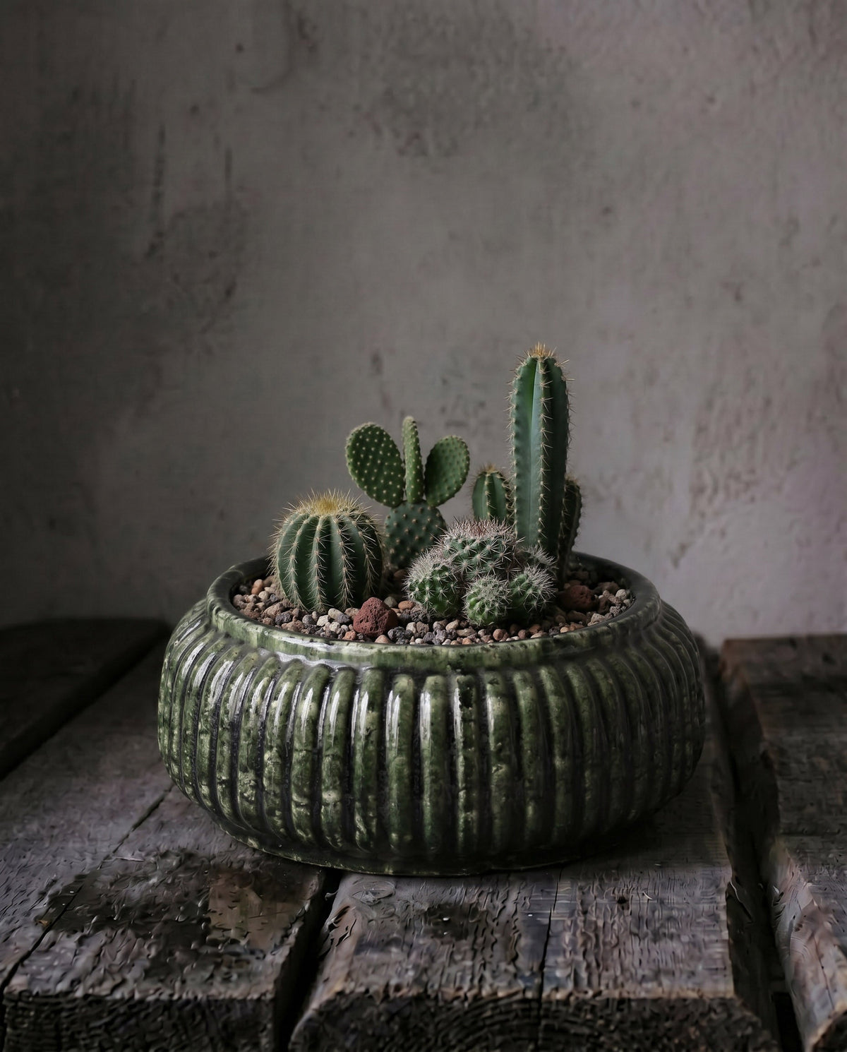 De Forest Geribbelde Bowl Planter - Bosgroen - Laag — Bazar Bizar, foto 2