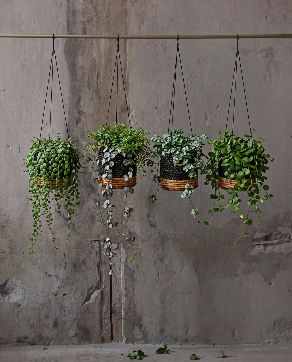 De Bananenplantenhanger - Naturel Zwart - S — Bazar Bizar, foto 2