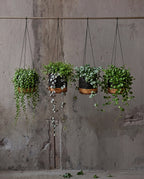 De Bananenplantenhanger - Naturel Zwart - S — Bazar Bizar, foto 2