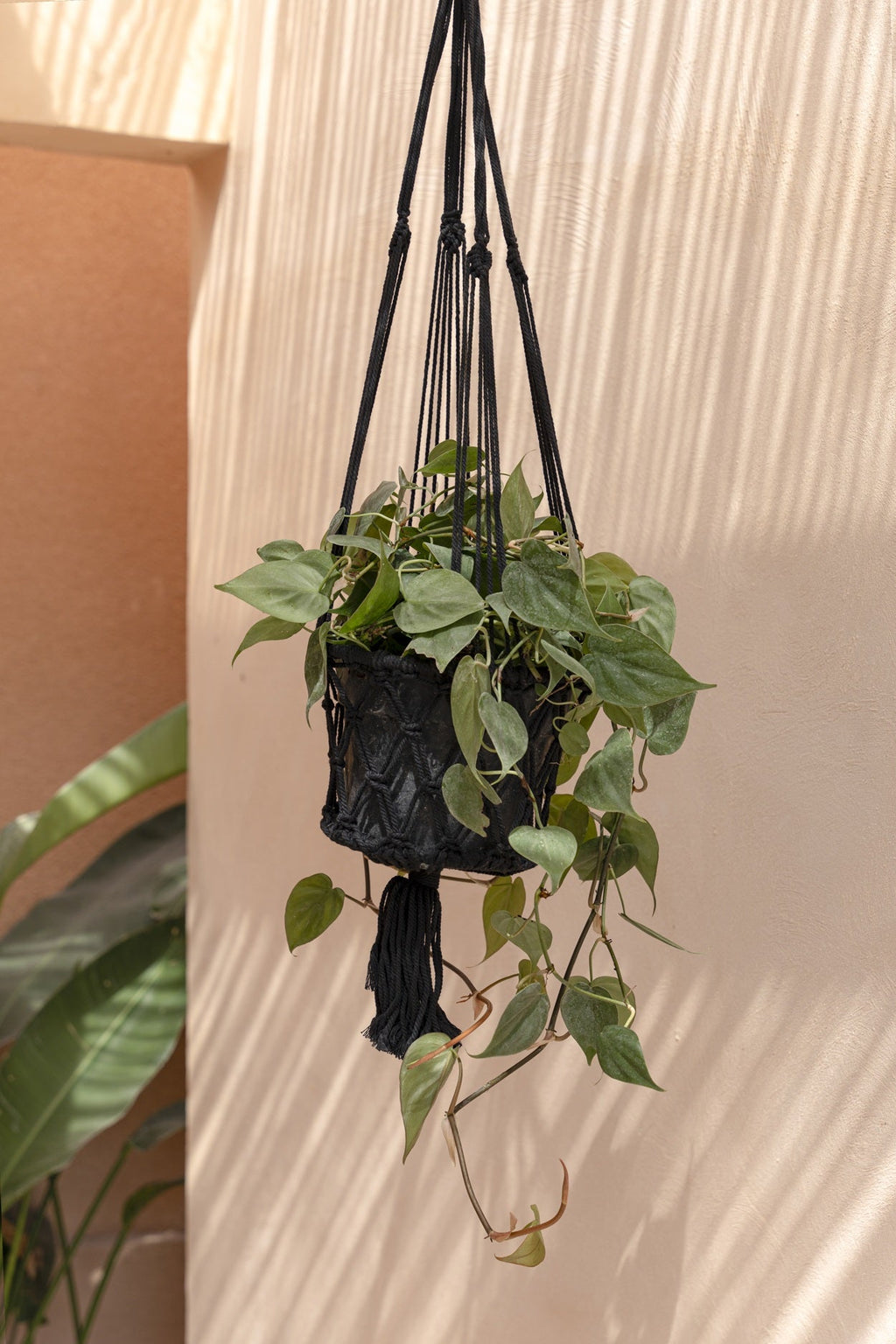 De Macrame Plantenhouder - Zwart - M — Bazar Bizar, foto 4
