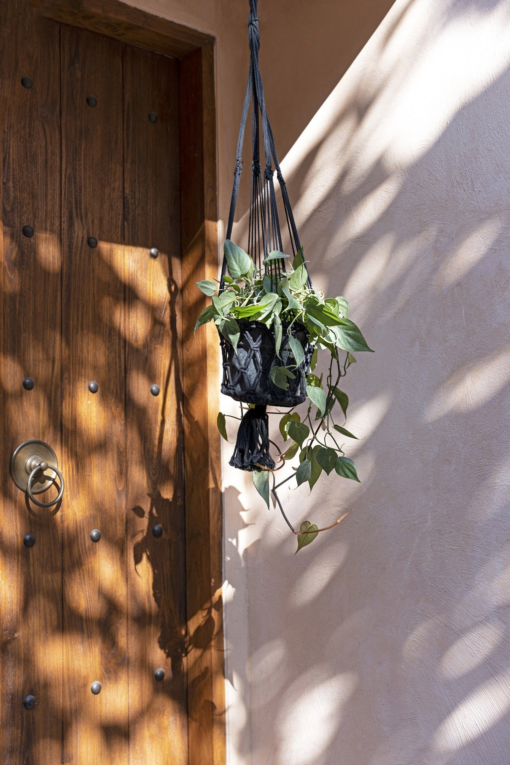De Macrame Plantenhouder - Zwart - L — Bazar Bizar, foto 5