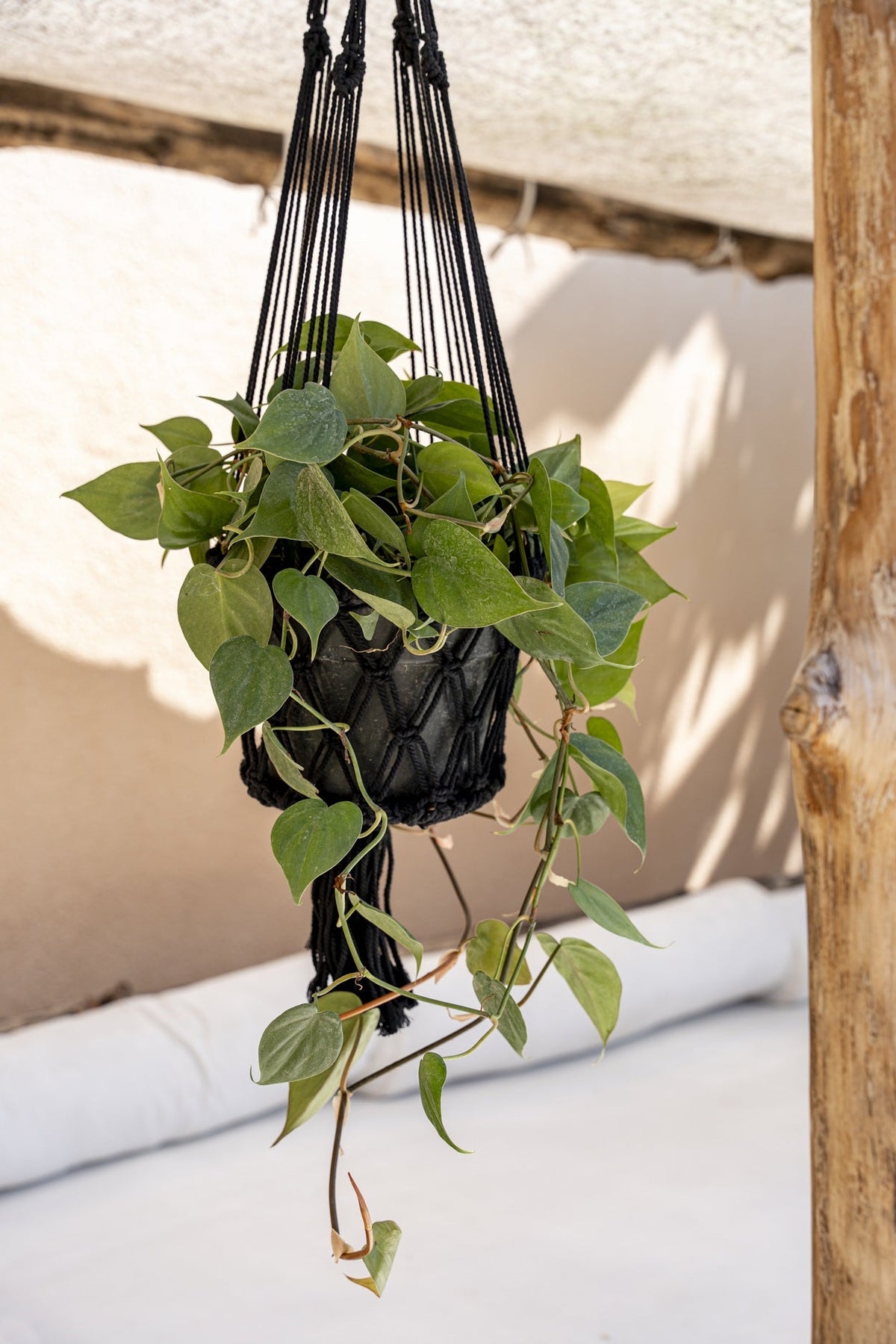 De Macrame Plantenhouder - Zwart - L — Bazar Bizar, foto 4