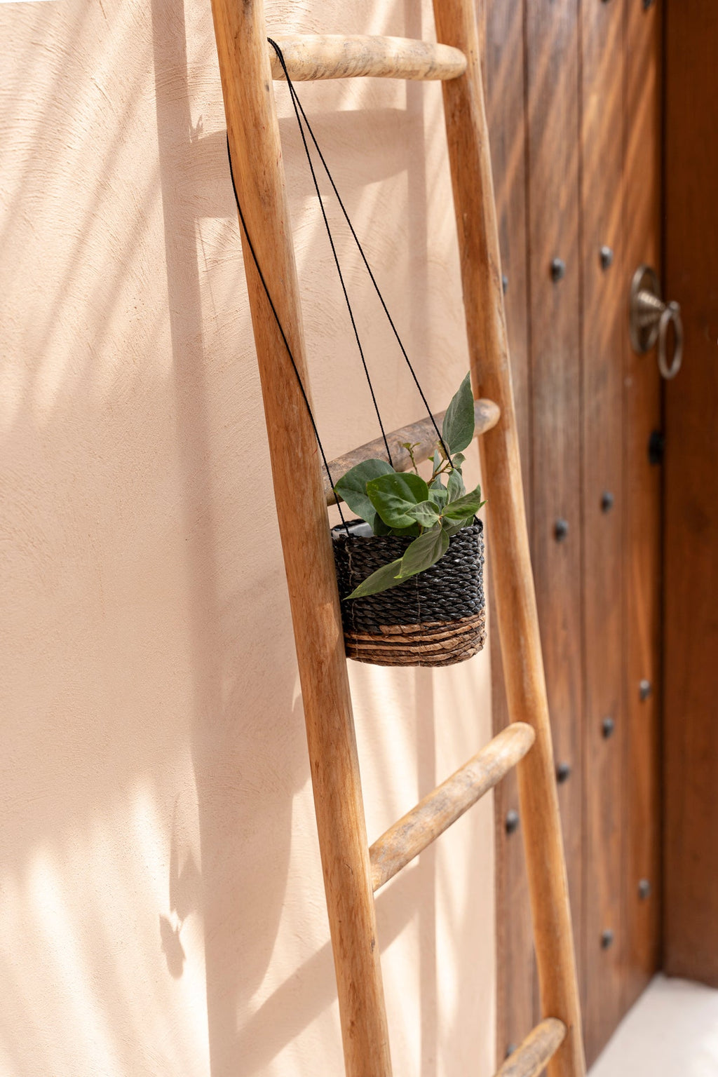 De Bananenplantenhanger - Naturel Zwart - S — Bazar Bizar, foto 4