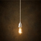 Fitting Lampen Plafond - Wit - 1 Fitting — Bazar Bizar, foto 2