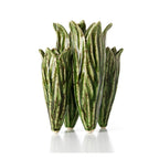 De Tulpenbladvaas - Bosgroen - Bazar Bizar