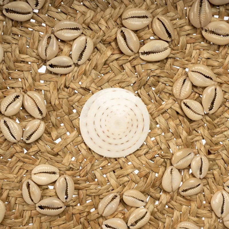 De Caribe Shell Plaat - Natuurlijk Wit - M - Bazar Bizar, foto 5