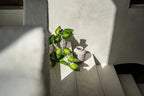 De Trendy Vaas - Beton - L - Bazar Bizar, foto 6
