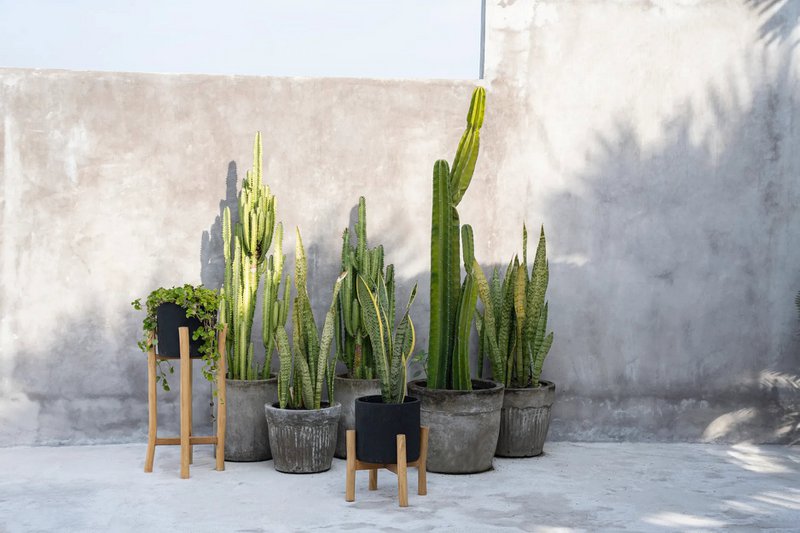 The Charcoal High - Zwart Naturel - L - Bazar Bizar, foto 5