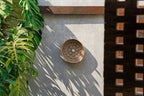 De Caribe Shell Plaat - Natuurlijk Wit - M - Bazar Bizar, foto 4
