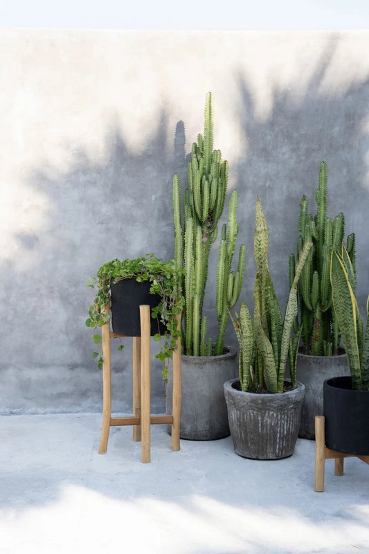 The Charcoal High - Zwart Naturel - L - Bazar Bizar, foto 3