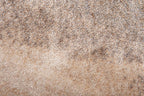 Brush Oval rug – Soft elegance with an organic shape