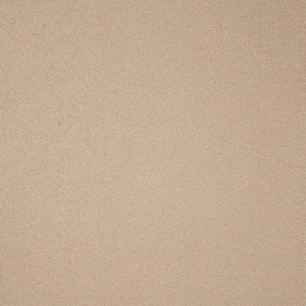 DWC Sponge Bouclé – kleur 50