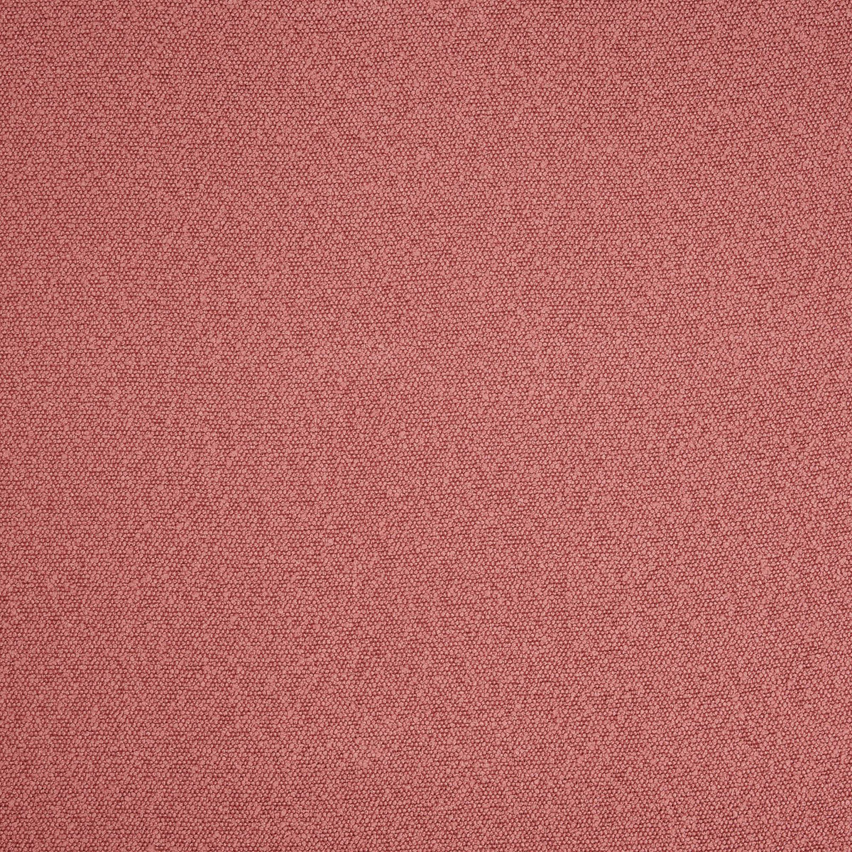 DWC Sponge Bouclé – kleur 60
