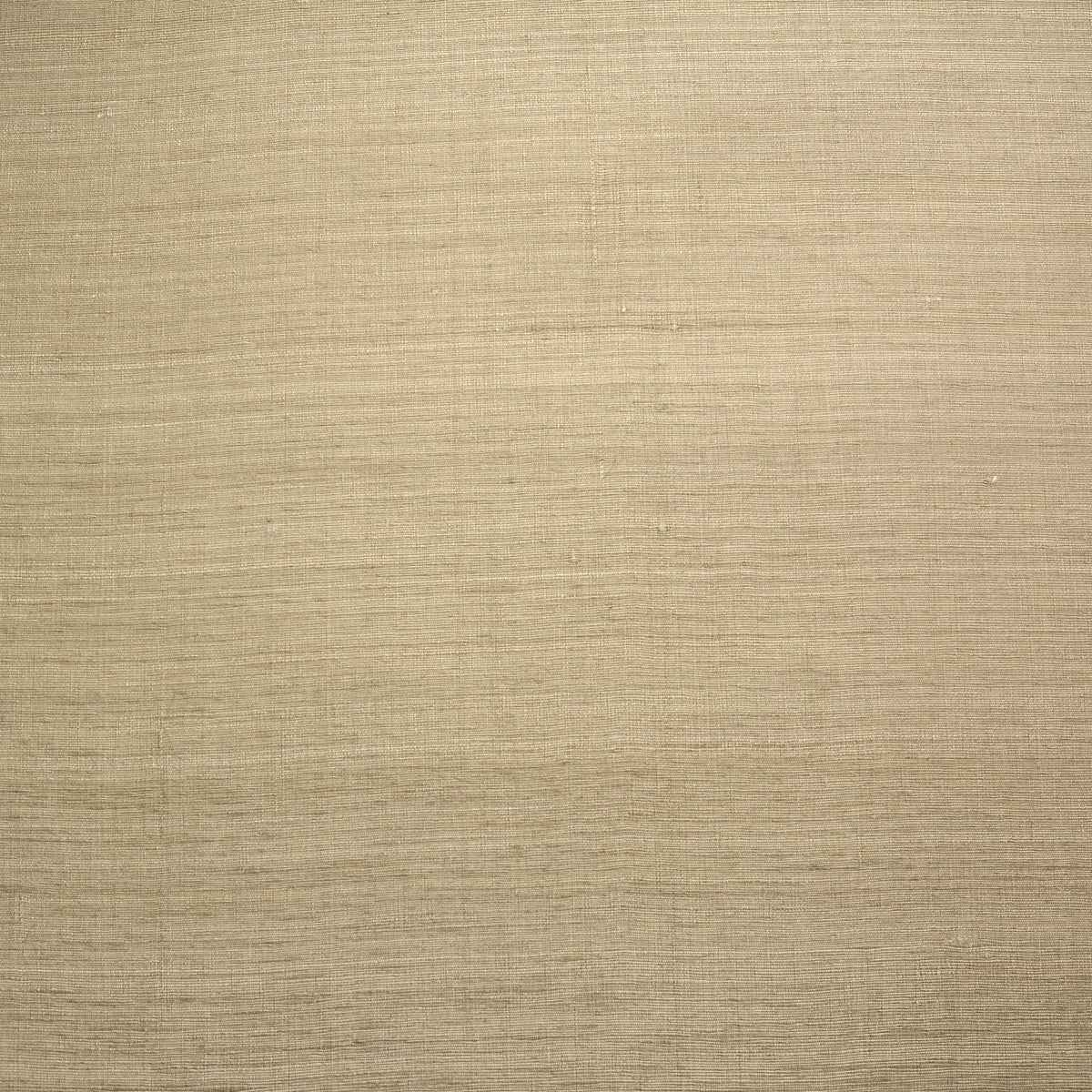 DWC Silk – kleur 00