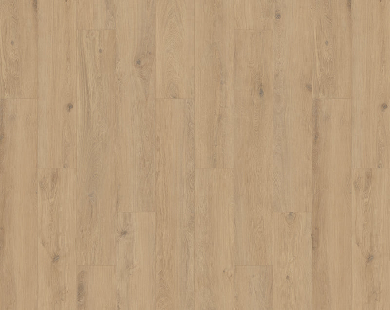 Tarkett Pure Oak Haver PVC-vloer – Port of Altea